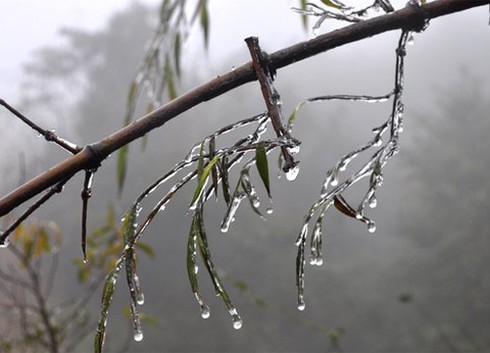 Dự báo thời tiết ngày 23/1: có nơi dưới 3 độ C - ảnh 1