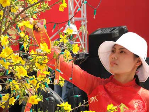 Thời tiết Tết Giáp Ngọ: Cả nước trời đẹp! - ảnh 1