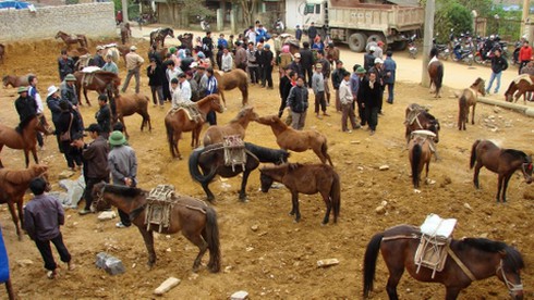 Năm Ngọ đi chợ ngựa Bắc Hà - ảnh 1