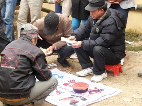 Bấm roi điện, giả công an để cướp sòng bầu cua - ảnh 1