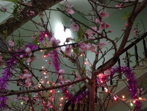 Không khí đón giao thừa Giáp Ngọ 2014 - ảnh 108