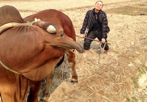 Ảnh hài hước đời thường Xuân Hinh, Xuân Bắc... - ảnh 1