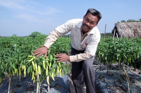 Thu 100 triệu đồng từ 0,4 ha đất - ảnh 1