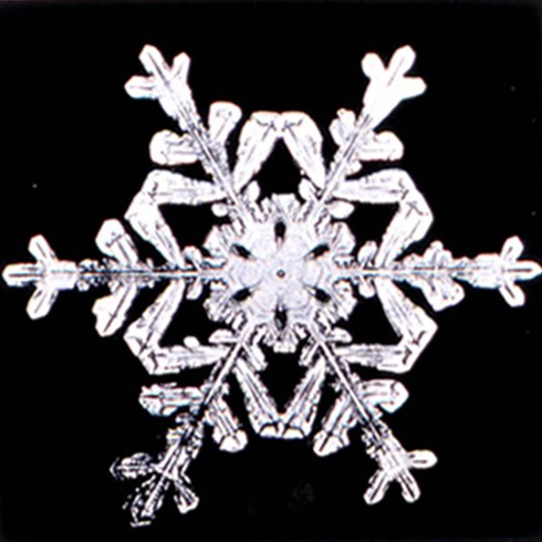 Mưa tuyết hình thành như thế nào? - ảnh 4