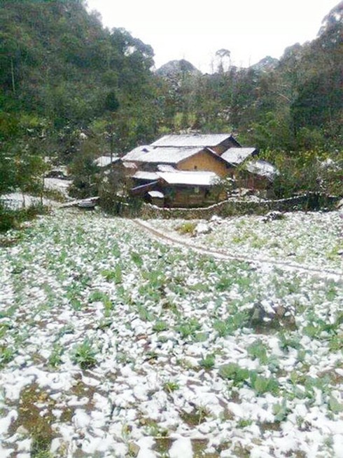 Tuyết rơi tại Đồng Văn (Hà Giang) - ảnh 1