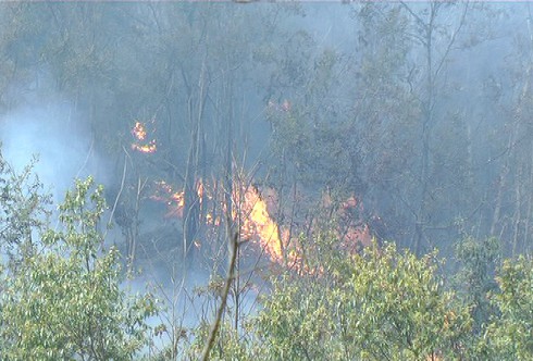 Điều hơn 500 người chữa cháy Vườn quốc gia Hoàng Liên - ảnh 5