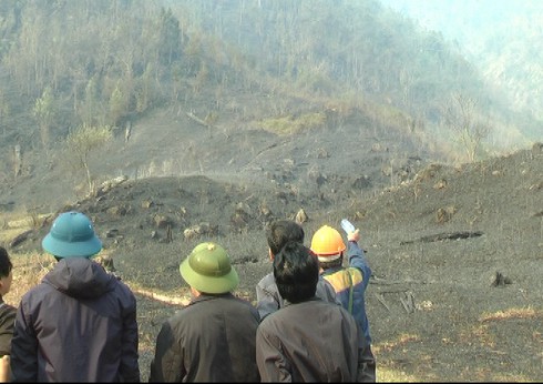 Điều hơn 500 người chữa cháy Vườn quốc gia Hoàng Liên - ảnh 4