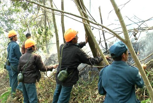 Điều hơn 500 người chữa cháy Vườn quốc gia Hoàng Liên - ảnh 6