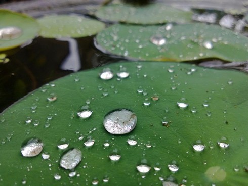 Dự báo thời tiết ngày 15/3: Bắc Bộ cuối tuần mưa rét - ảnh 1