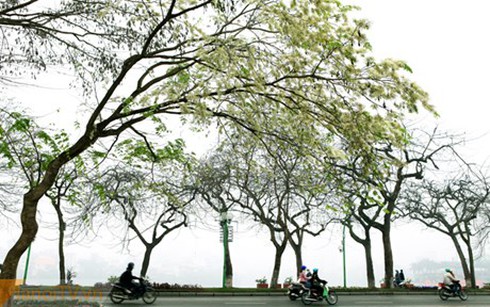 Dự báo thời tiết ngày 16/3: Hà Nội có gió đông nam - ảnh 1