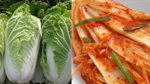 Cách làm kim chi cải thảo Hàn Quốc chuẩn nhất - ảnh 1