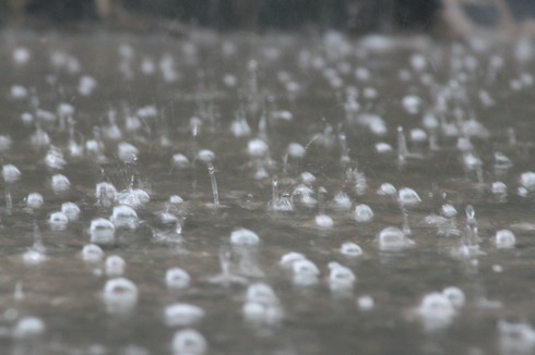 Dự báo thời tiết ngày 1/4: Hà Nội mưa rào, dông vài nơi - ảnh 1