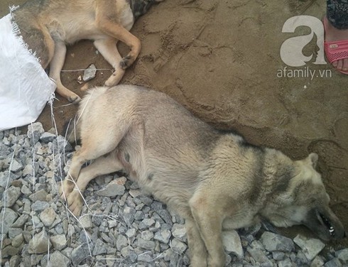 200 người dân hành hung tới bất tỉnh