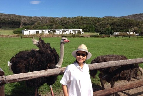 Thu Minh đi trực thăng cùng chồng du ngoạn Nam Phi - ảnh 8