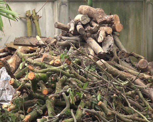 Quá trình gói bánh chưng