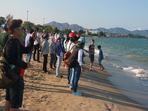 Cứu hộ cá heo dài hơn 2 mét tại Vịnh Nha Trang - ảnh 4