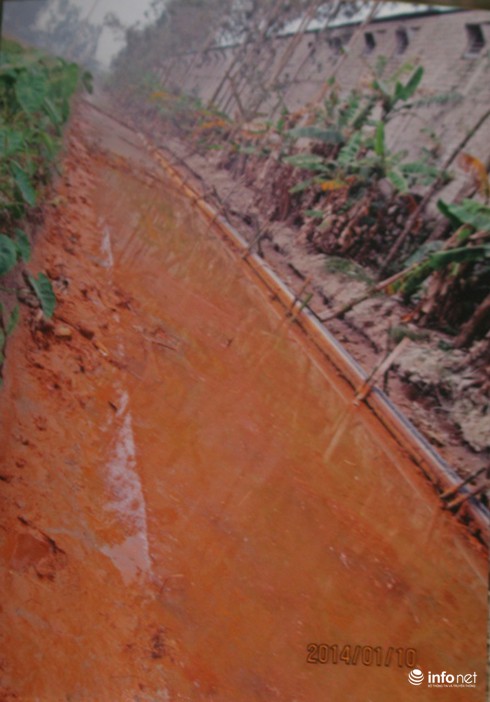 Cty TNHH Phương Nam xả thải: Sống nổi không với “mùi đốt xác chết”? - ảnh 4