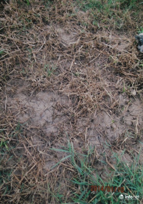 Cty TNHH Phương Nam xả thải: Sống nổi không với “mùi đốt xác chết”? - ảnh 6