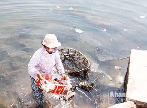 Hải sản khô: rửa nước sông nổi rác, phơi ruồi nhặng bu đen - ảnh 2