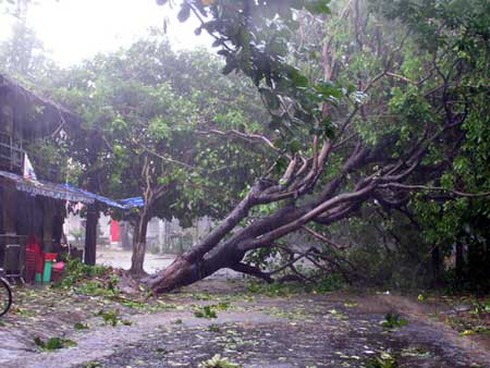 Dự báo thời tiết 24/4: Tây Nguyên, Nam Bộ đề phòng lốc, mưa đá - ảnh 1