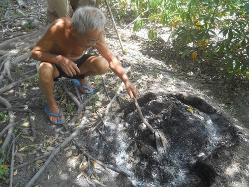 Mất ăn mất ngủ vì hàng triệu con côn trùng