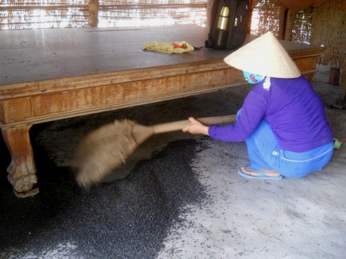 Mất ăn mất ngủ vì hàng triệu con côn trùng