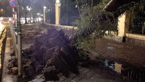 Dự báo thời tiết ngày 5/6: Hà Nội tiếp diễn mưa dông - ảnh 1