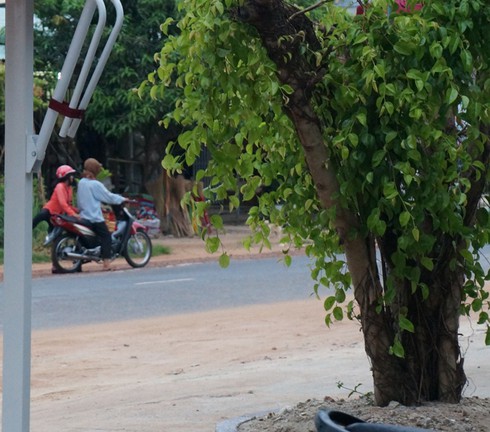 Người đàn ông ăn xin là ai? - ảnh 3