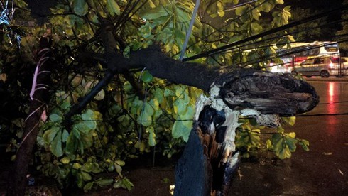 Cảnh báo mưa dông, gió giật, lốc xoáy ở Hà Nội chiều tối nay (6/6) - ảnh 1