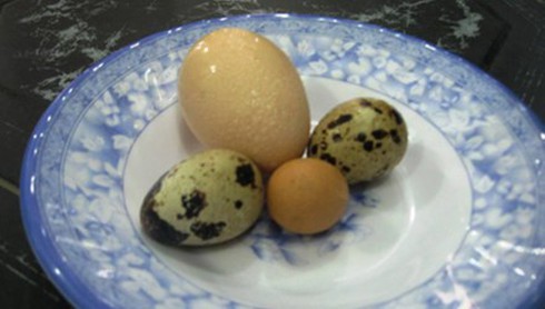 Kinh ngạc phát hiện trứng gà, trứng vịt