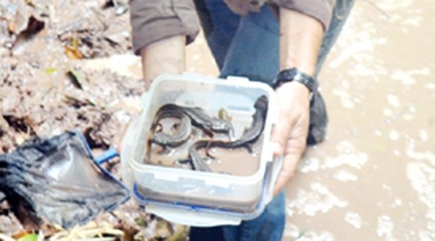 Săn tìm