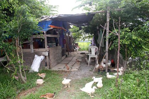 Nữ quái