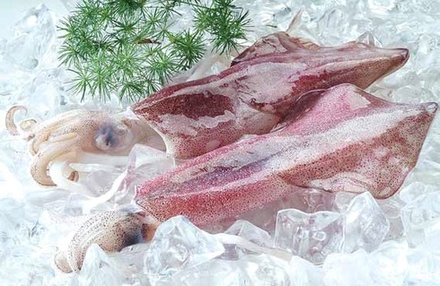 Cách chọn mua mực tươi, mực khô ngon nhất? - ảnh 1