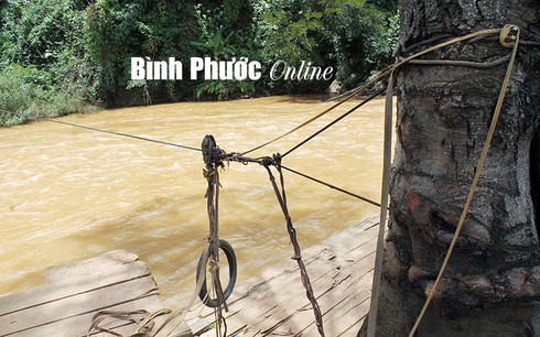 Bình Phước: Đánh đu trên mặt sông Lấp - ảnh 7