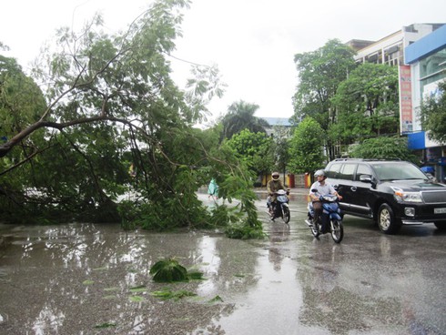 Thanh Hóa: Mưa to gió lớn, cây phượng đổ đè bẹp bốt CSGT - ảnh 2