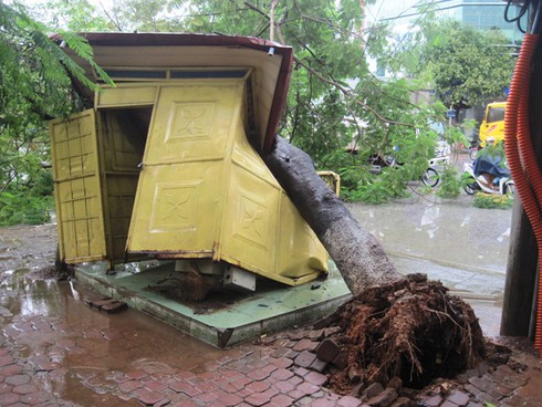 Thanh Hóa: Mưa to gió lớn, cây phượng đổ đè bẹp bốt CSGT - ảnh 3