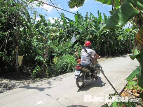 Mất mạng do vướng cáp neo trụ điện - ảnh 1