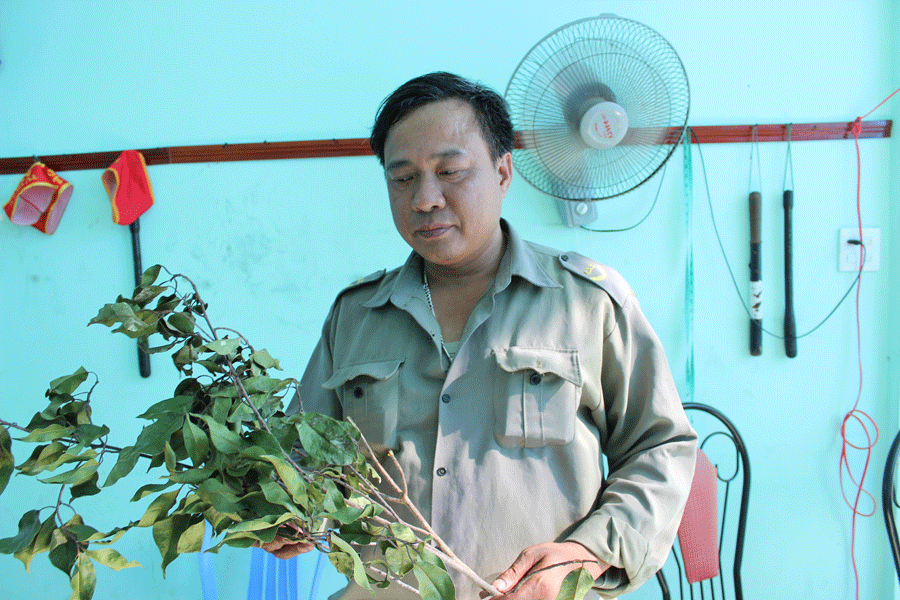 Thực hư lời đồn về