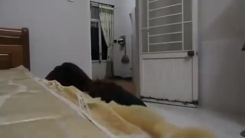 Theo dõi vợ rồi đâm