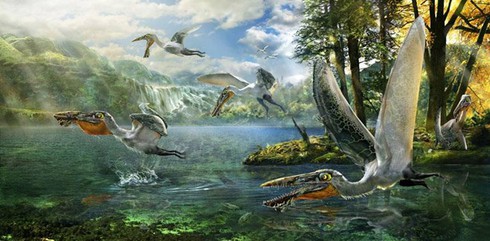 Phát hiện hóa thạch loài