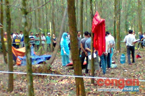 Một học sinh lớp 9 treo cổ trong rừng tràm - ảnh 1