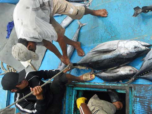 Ngư dân Quy Nhơn phấn khởi nhận tiền hỗ trợ đánh bắt xa bờ - ảnh 1