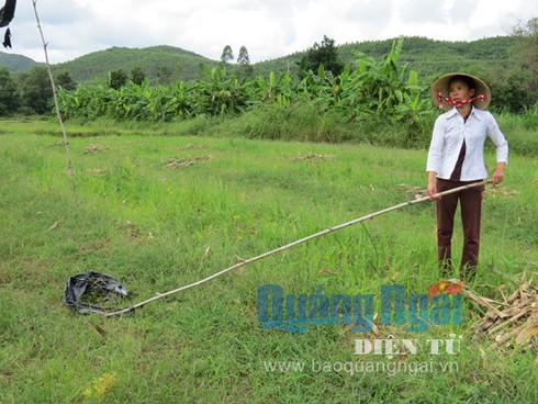 Heo rừng cắn chết người phụ nữ yếu đuối, con thơ ai oán khóc mẹ - ảnh 1