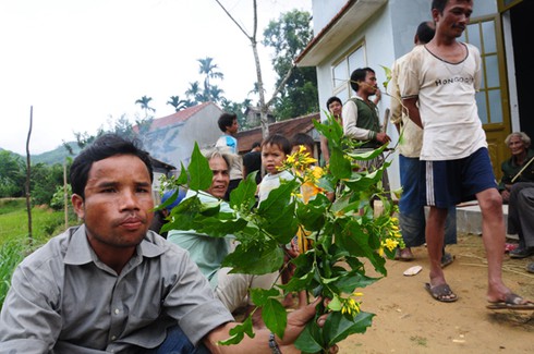 Báo động nạn tự tử ở miền núi Quảng Ngãi - ảnh 1
