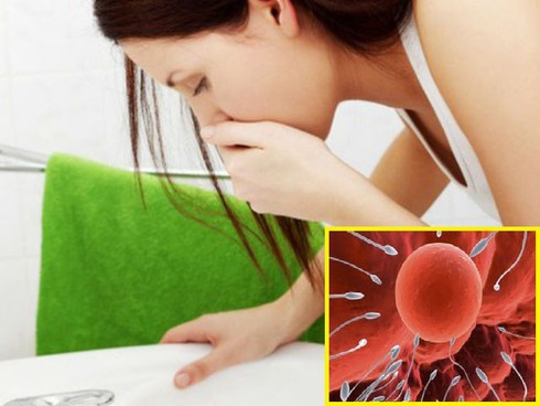Dấu hiệu mang thai sớm nhất mà phụ nữ nên biết - ảnh 1