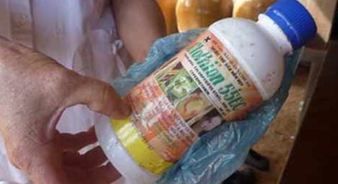 Bình Định: Tự tử vì một câu nói của người yêu - ảnh 1