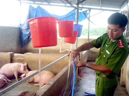 Bắt một cơ sở tiêm thuốc, bơm nước vào heo - ảnh 1