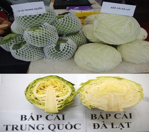 Phân biệt 7 loại rau củ quả Trung Quốc và Đà Lạt - ảnh 3