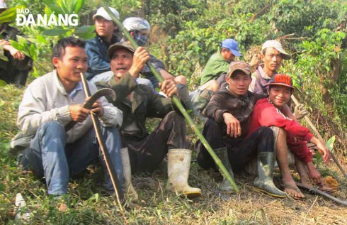 Đổ xô đi tìm bắt… rùa - ảnh 1