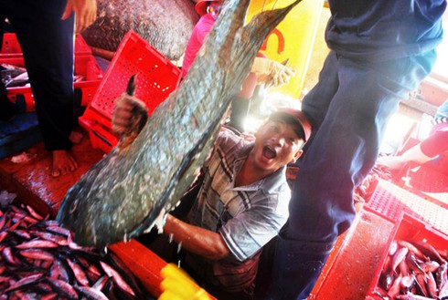 Cảng cá ngày cận Tết - ảnh 1